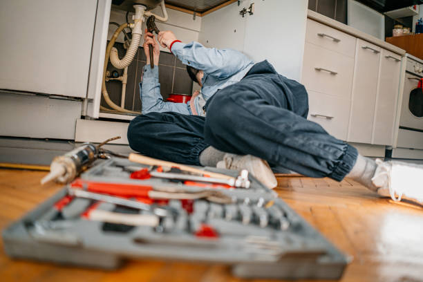 Best Best Plumbers Near Me  in Northdale, FL