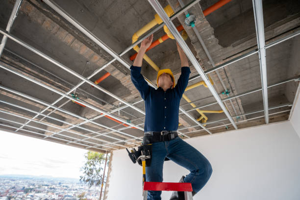 Best Same-Day Plumbing Service  in Northdale, FL