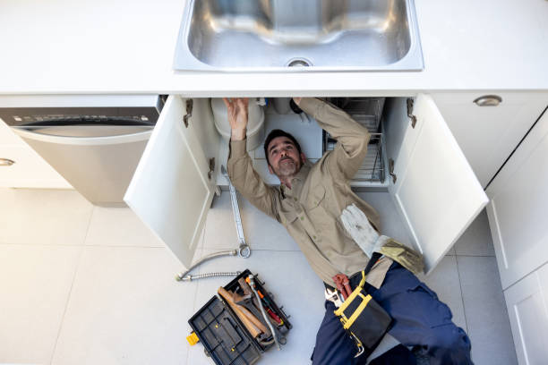 Best Septic Systems  in Northdale, FL