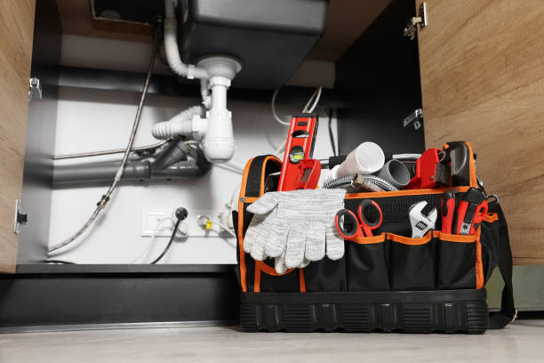 Best Sprinkler Systems  in Northdale, FL